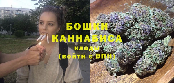jwh Ельня