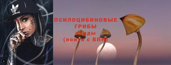 mdpv Елабуга