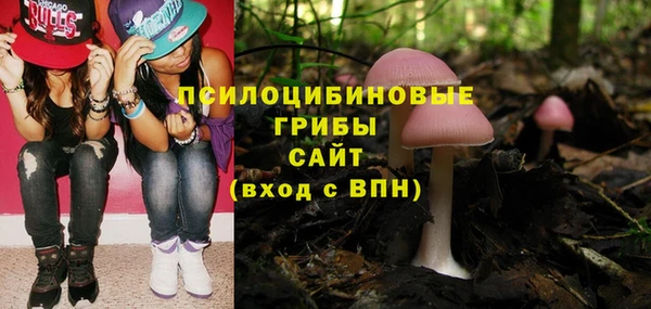 jwh Ельня