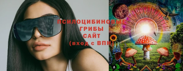 mdpv Елабуга