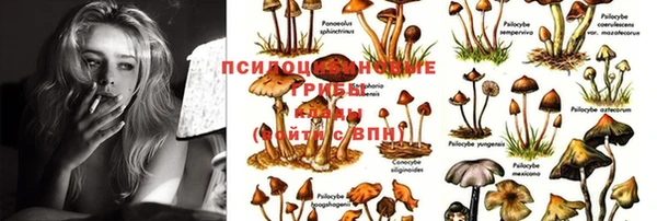 синтетический гашиш Елизово