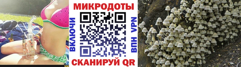 Купить где  Славск  Псилоцибиновые грибы мухоморы 